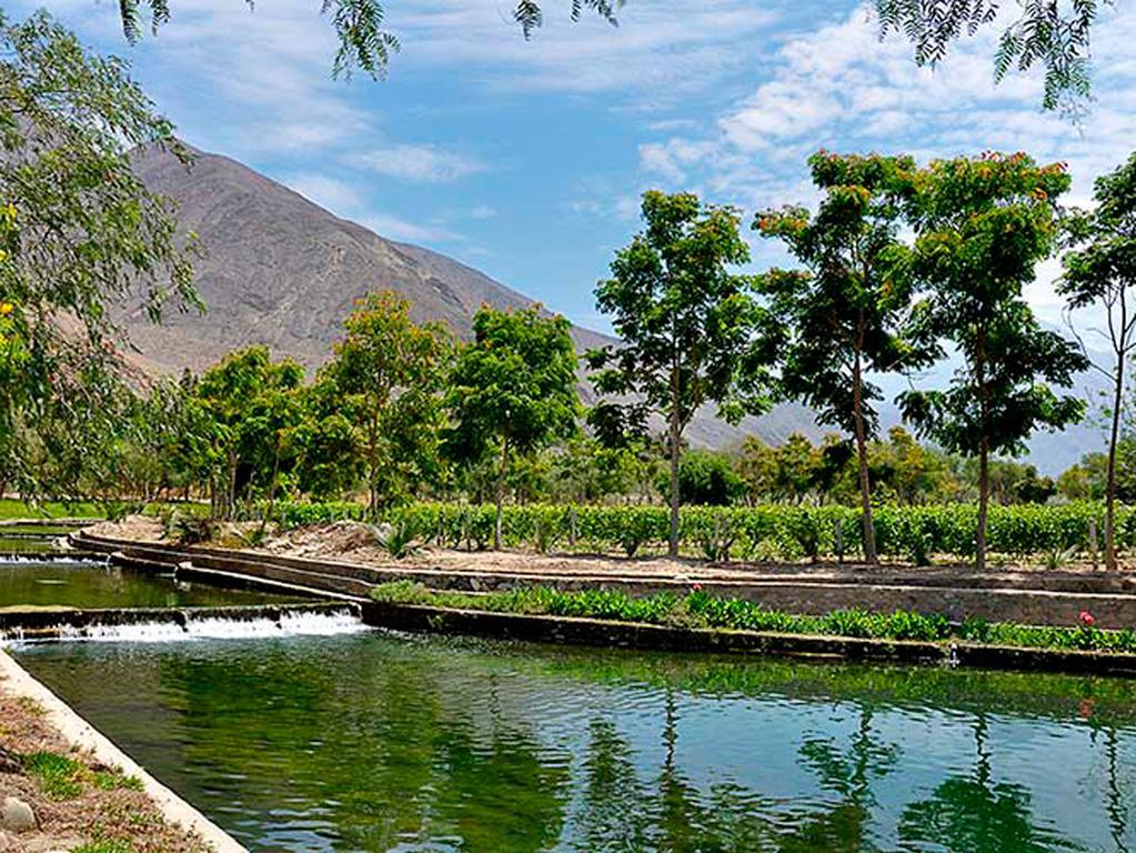 Guizado Portillo Hacienda & Resort Lunahuaná Exteriör bild