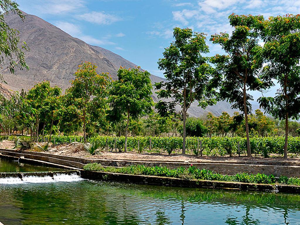Guizado Portillo Hacienda & Resort Lunahuaná Exteriör bild